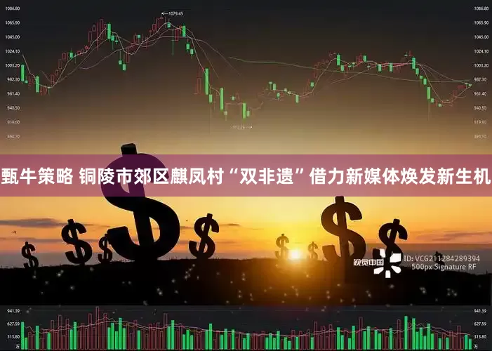 甄牛策略 铜陵市郊区麒凤村“双非遗”借力新媒体焕发新生机